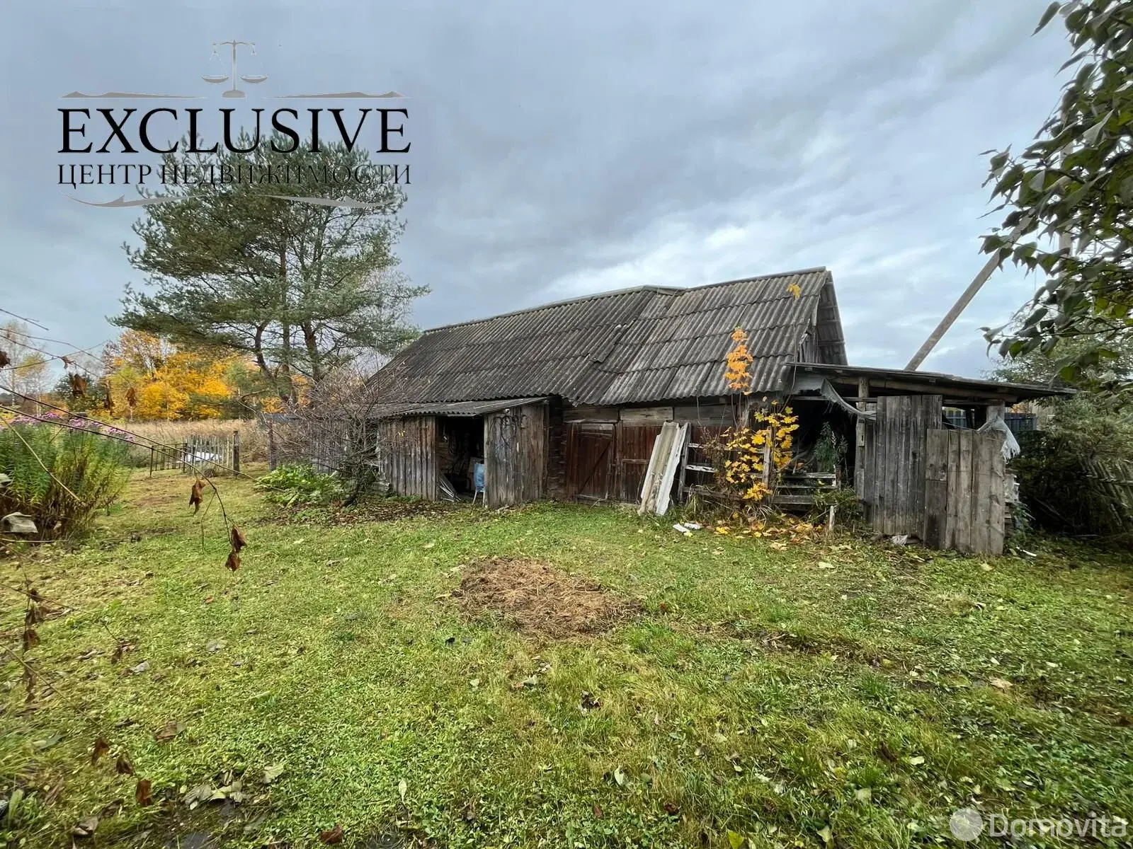 дом, Боровцы, ул. Зелёная 