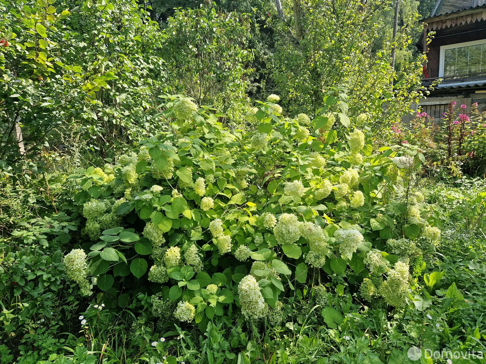 Купить 2-этажную дачу в Пралесках Минская область, 11500USD, код 183756 - фото 25