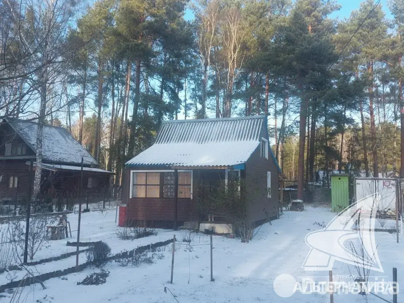 Стоимость продажи дачи, Лира-5, 