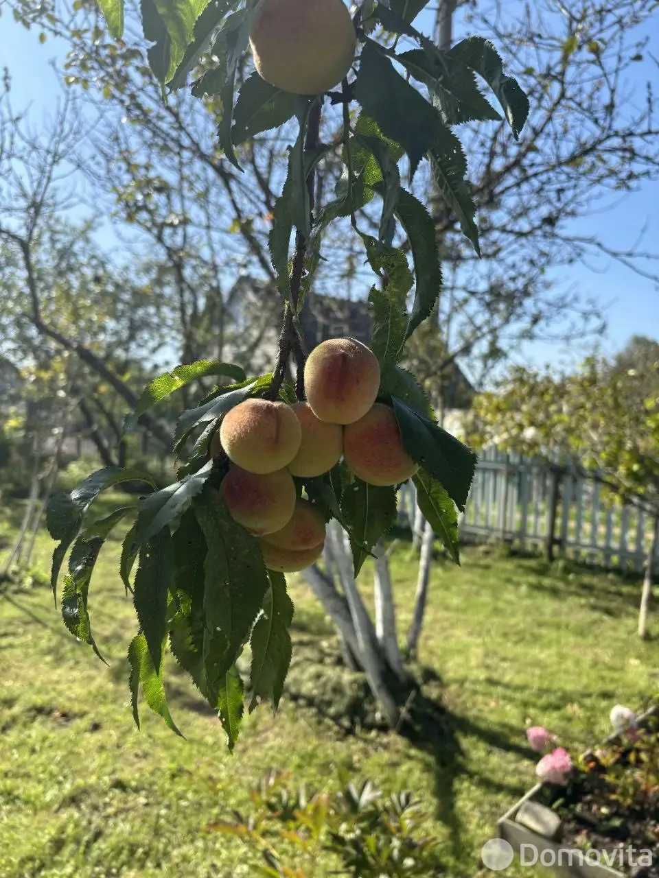 Купить 1-этажную дачу в Витебске Витебская область, 30000USD, код 184512 - фото 21