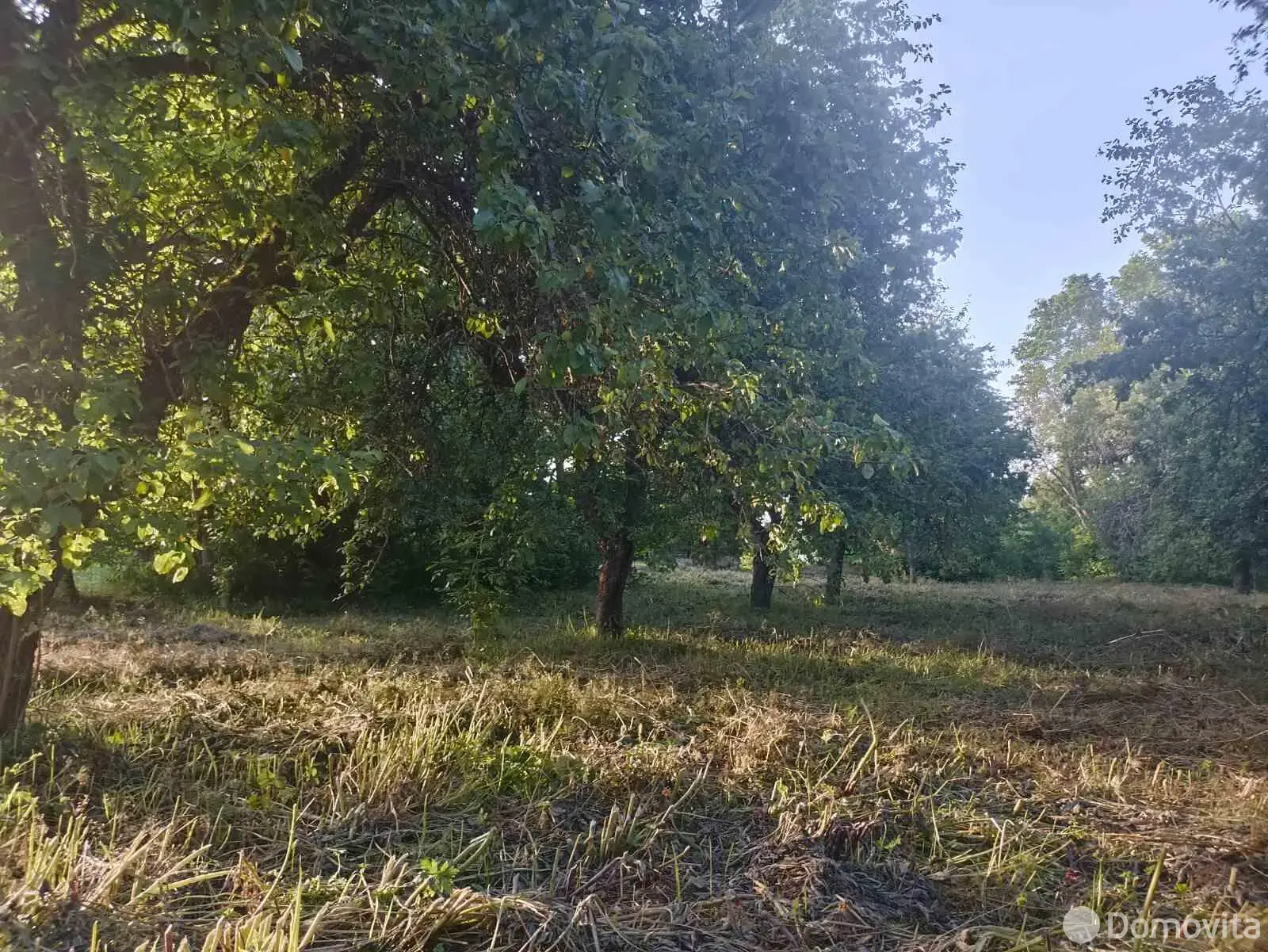 участок, Городище, 