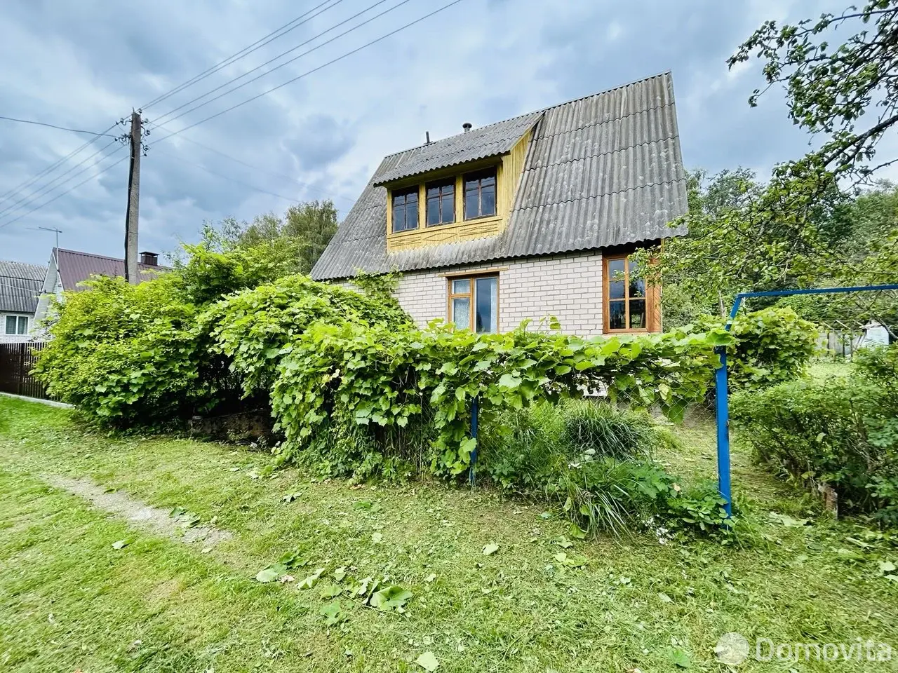 дача, Лесная быль, 