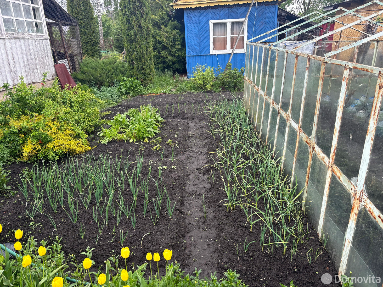 Купить 1-этажную дачу в Малинники Минская область, 7000USD, код 182889 - фото 20