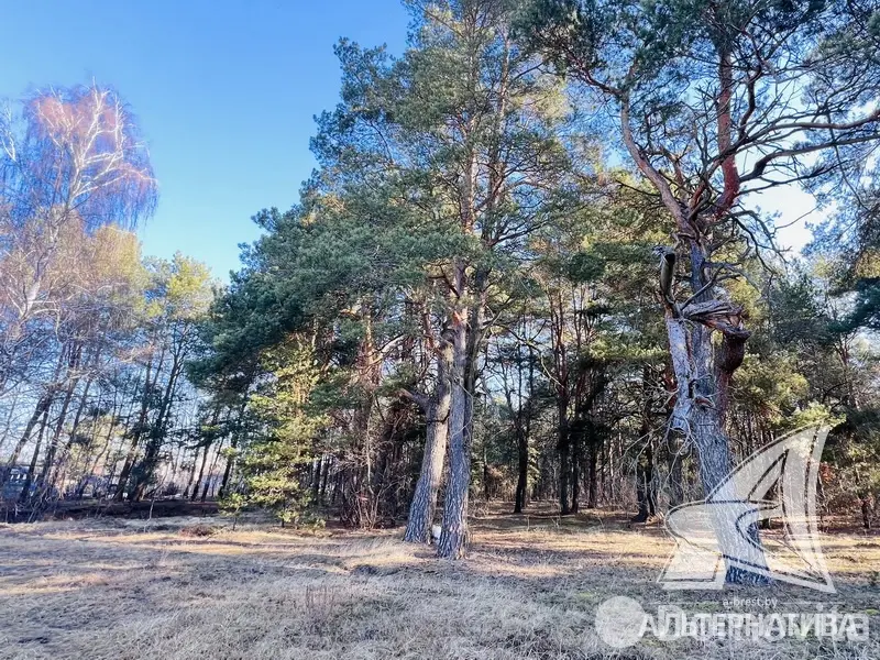 Купить земельный участок, 13.11 соток, Брест, Брестская область, 44500USD, код 571577 - фото 23