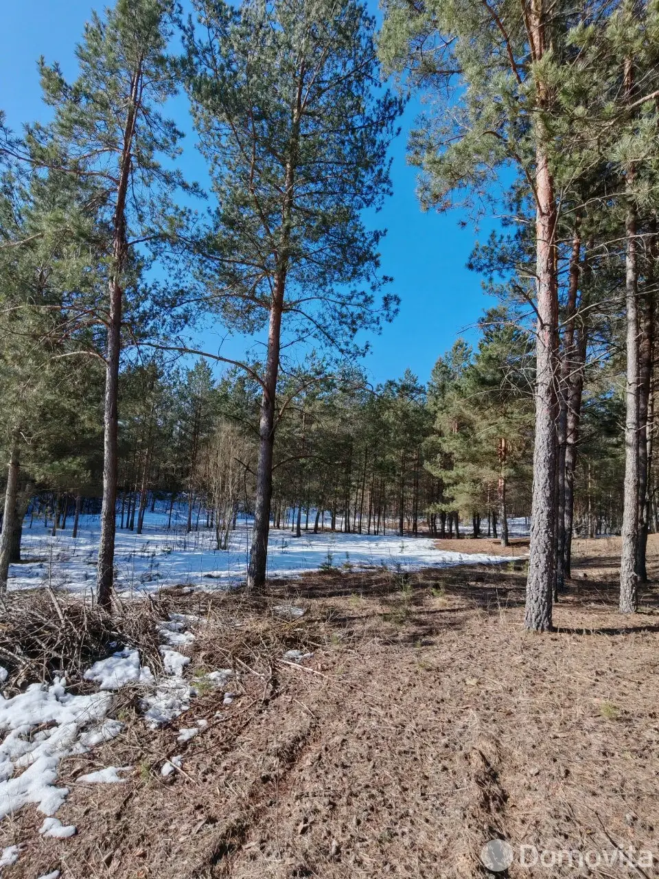 Цена продажи участка, Вишневый сад Витебского района, 