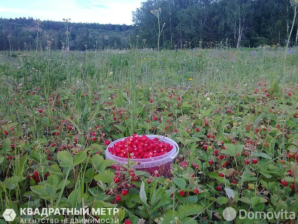 Купить земельный участок, 10.16 соток, Ивонцевичи, Минская область, 11200BYN, код 571992 - фото 11