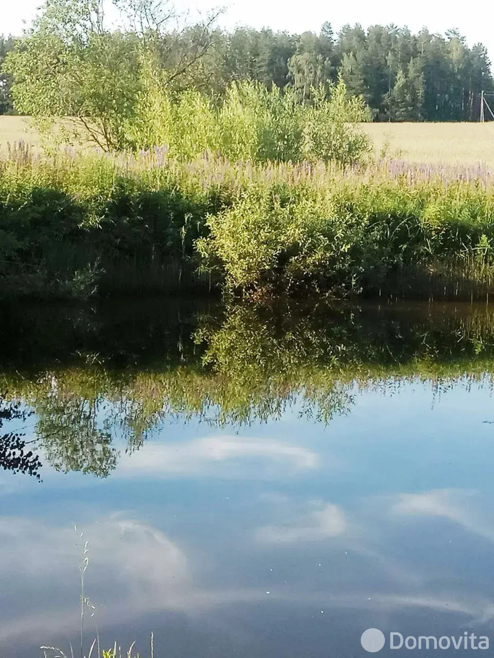 купить коттедж, Жажелка, ул. Заречная