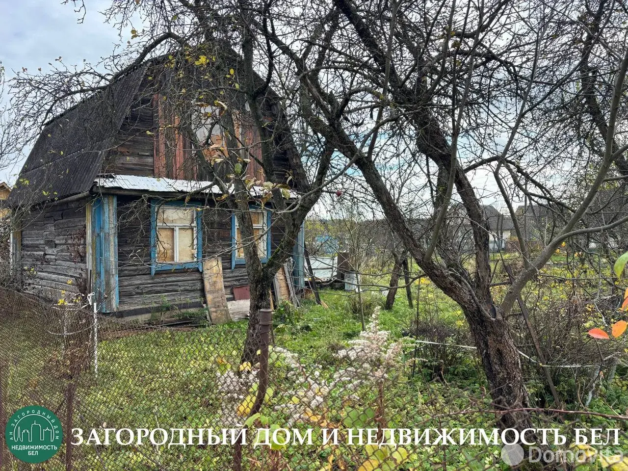 дача, Шарик, 
