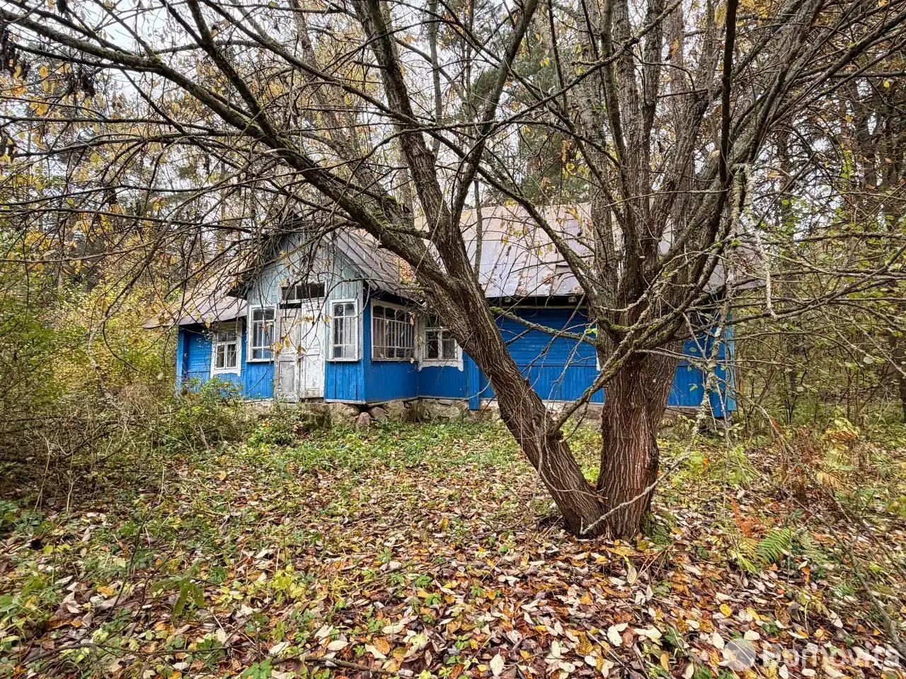 коттедж, Уша, 