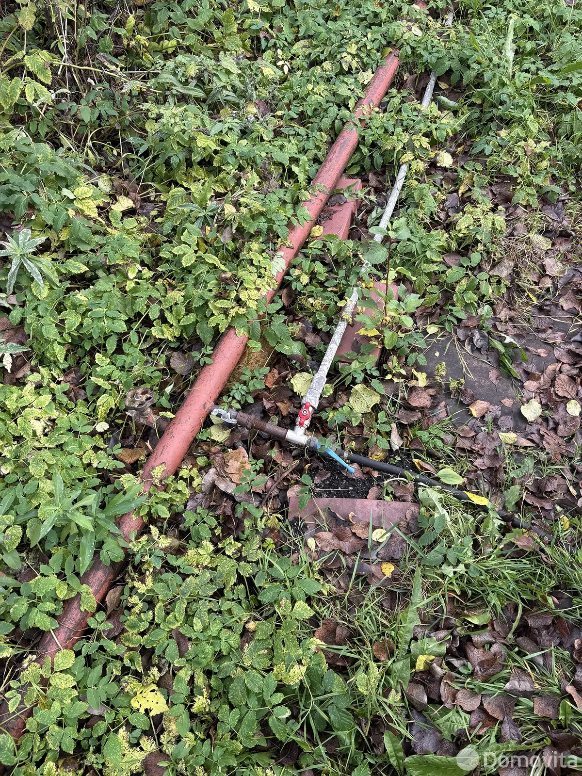 Продажа 1-этажной дачи в ЛЕСНОЕ Минского завода специнструмента и технологической оснастки Минская область, 4000USD, код 184406 - фото 28