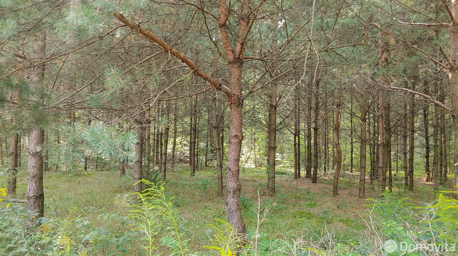 купить участок, Холодинка, д. 39