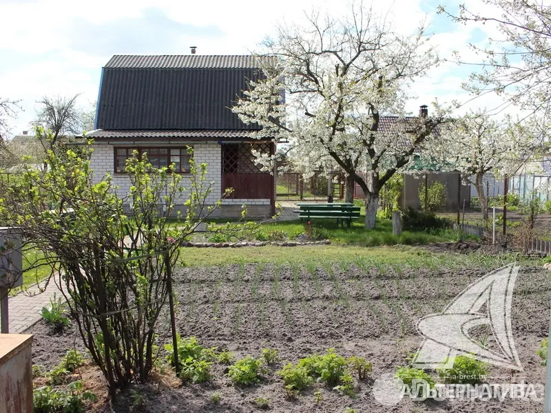 Продажа 2-этажной дачи в Суница-80 Брестская область, 101163BYN, код 185536 - фото 34