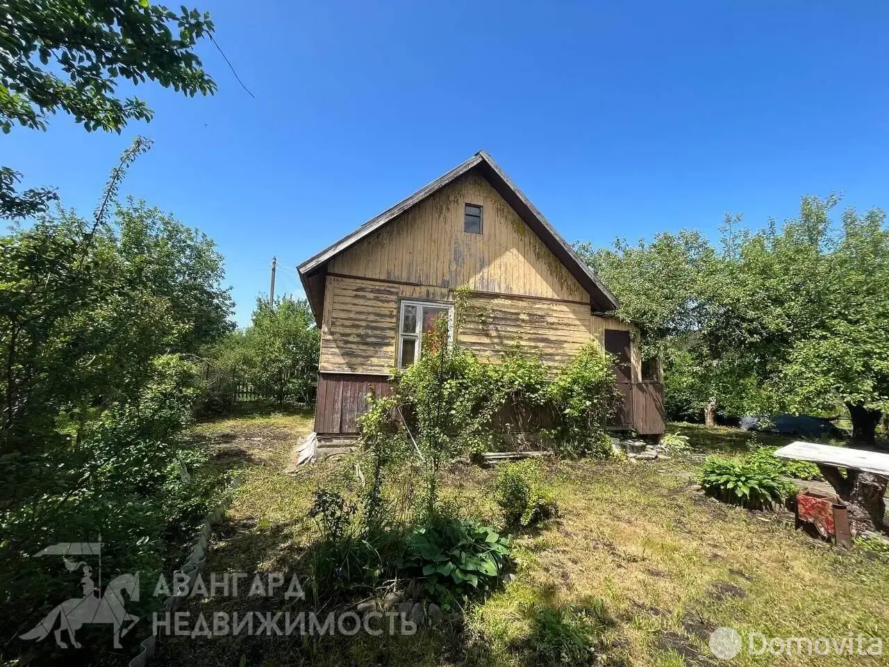 Цена продажи дачи, Шарик, 