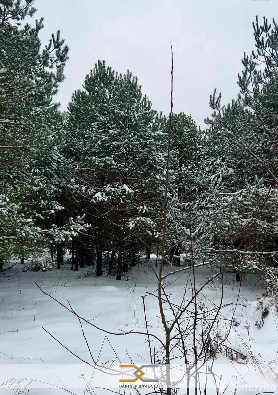 Купить 2-этажную дачу в Сосновый Минская область, 19500USD, код 184707 - фото 40