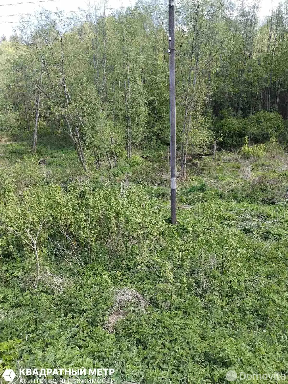 дом, Вязынка, ул. Гурновичи 