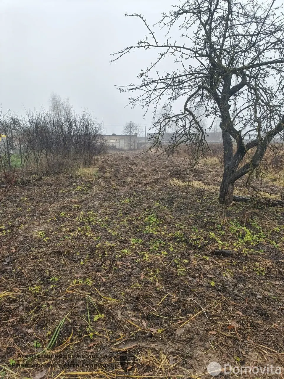 участок, Голоцк, ул. Народная, д. 61 