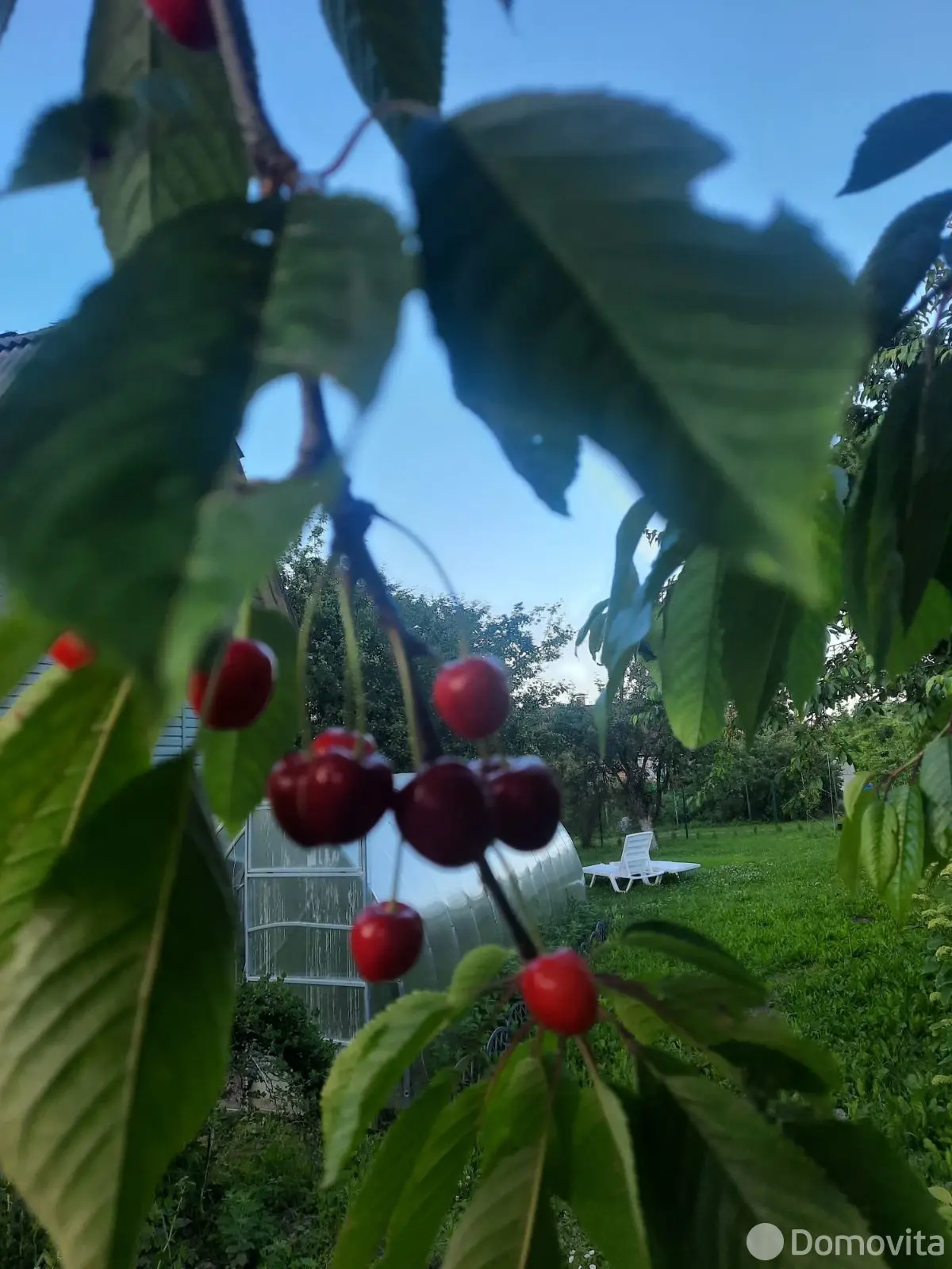 Продажа 3-этажной дачи в Тюльпан Минская область, 15000USD, код 184477 - фото 18