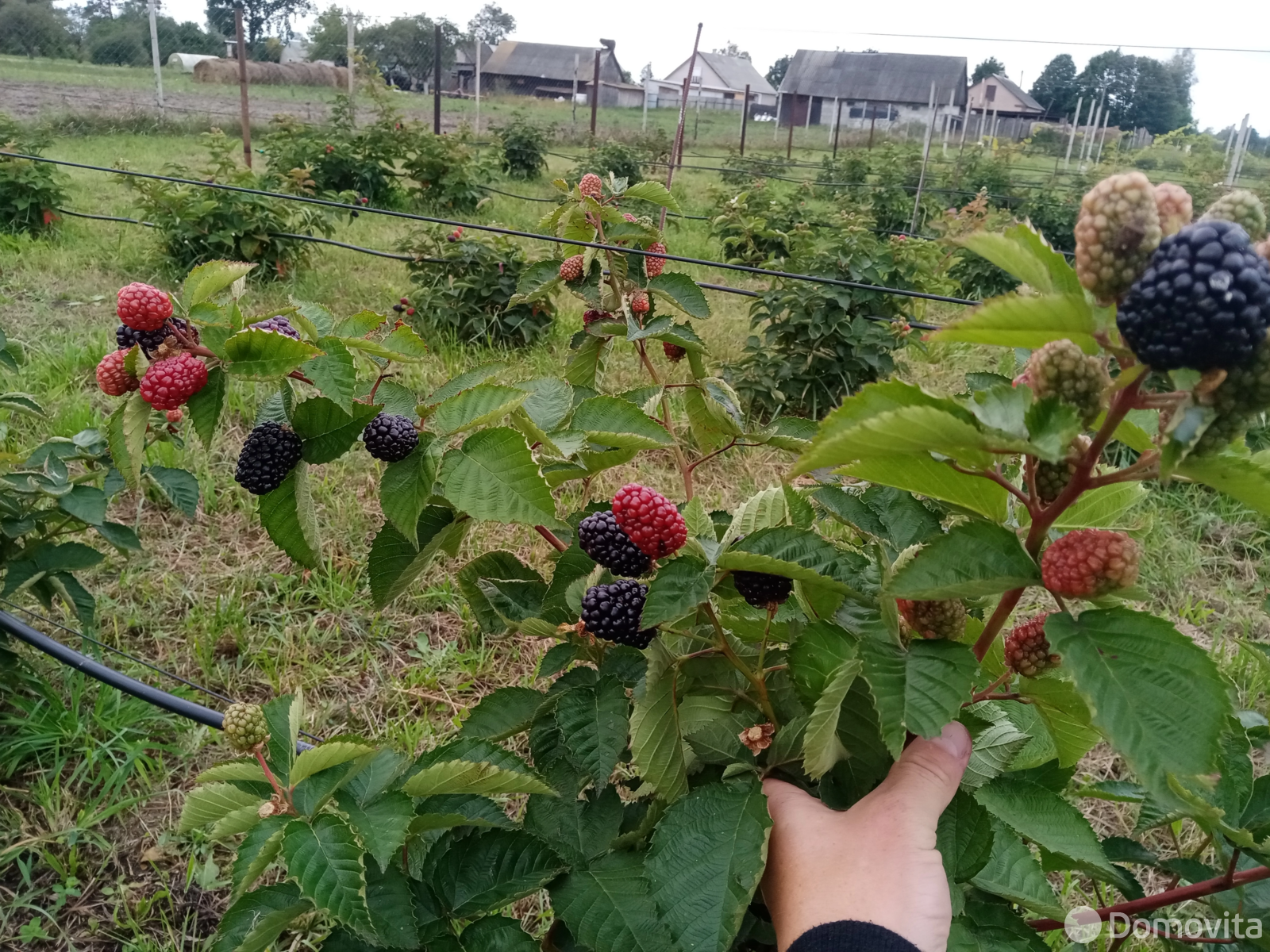 Стоимость продажи коттеджа, Ляховцы, ул. Комсомольская, д. 56