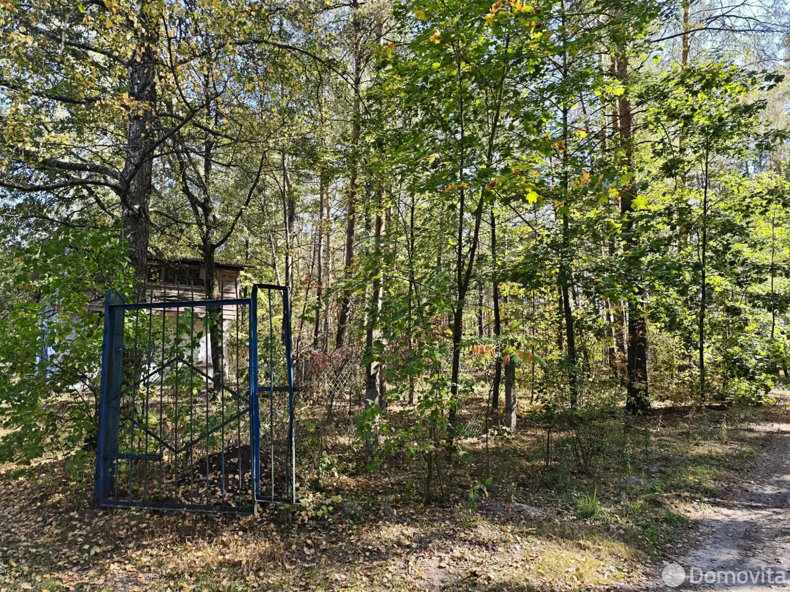 Продажа 1-этажной дачи в Калинино Гомельская область, 51000BYN, код 186113 - фото 19