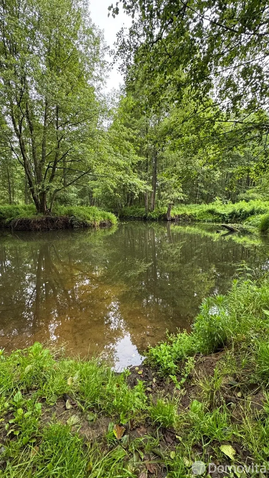 Продажа 1-этажной дачи в Зелёный луг Гомельская область, 5000USD, код 183406 - фото 11