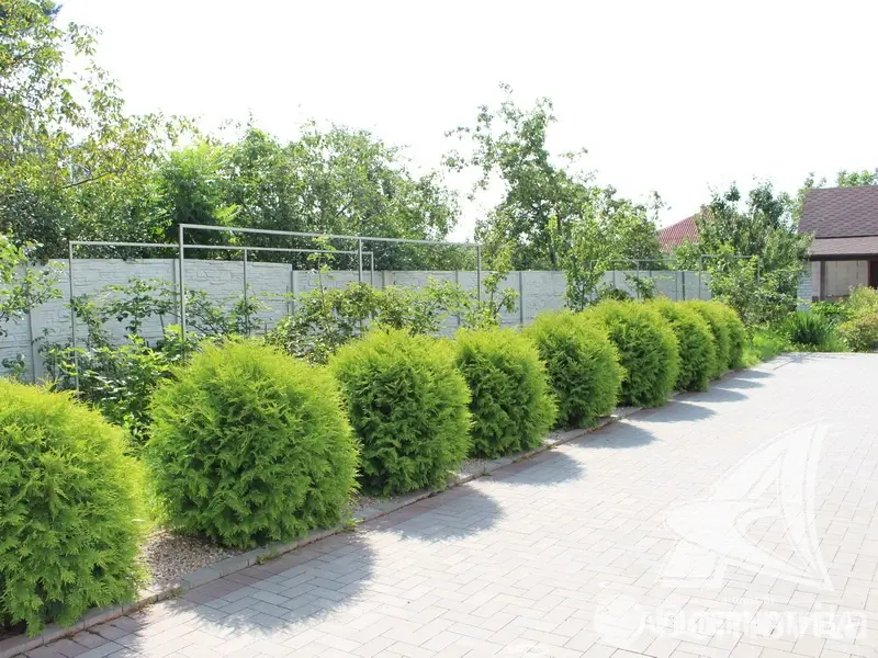 Продажа 1-этажной дачи в Росинка при Брестском ДЭУ-138 Брестская область, 169000USD, код 184897 - фото 33