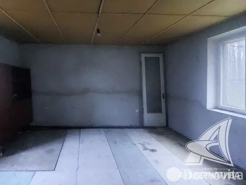 дача, Лесная поляна, 