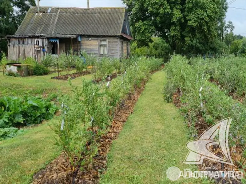 дом, Рыбна, , стоимость продажи 58 174 р.