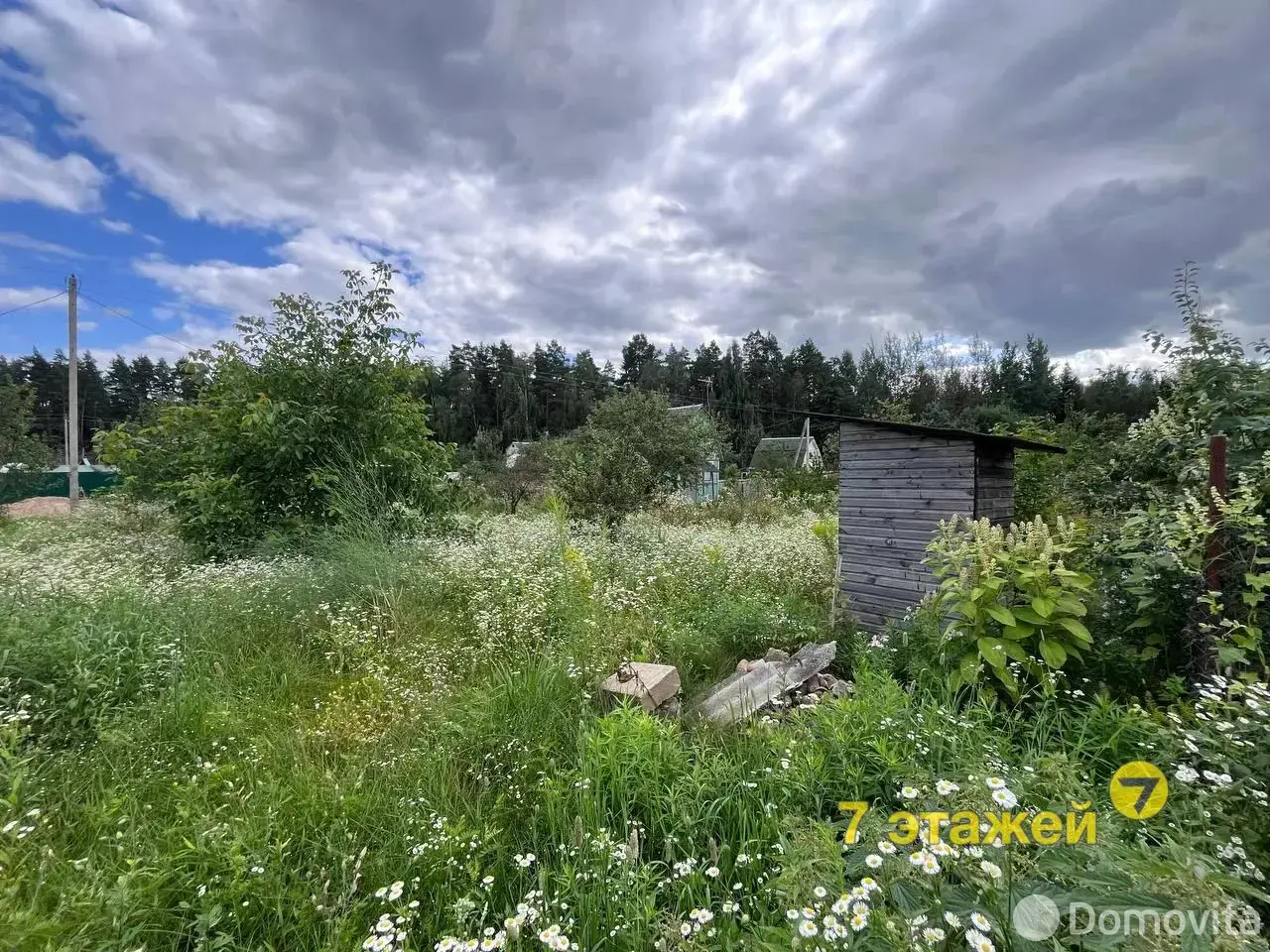 купить участок, Летний вечер, 