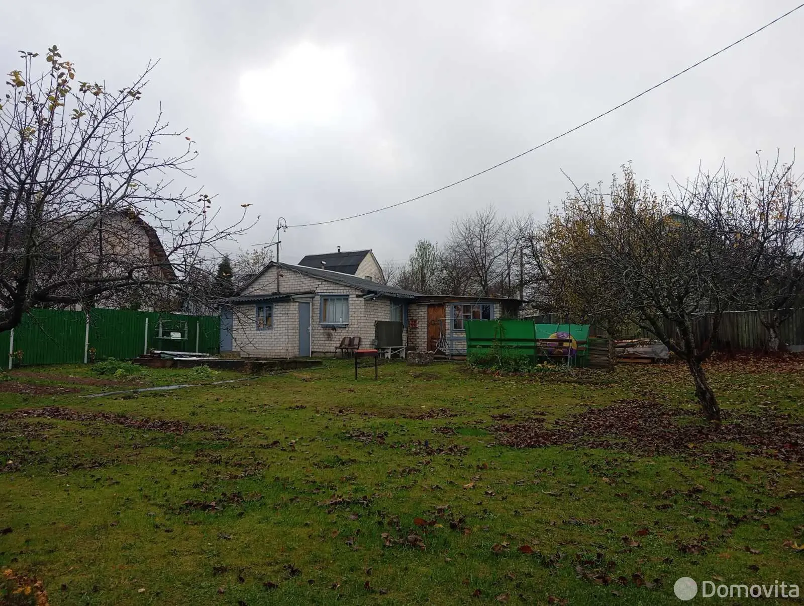 дача, Тюльпан, 