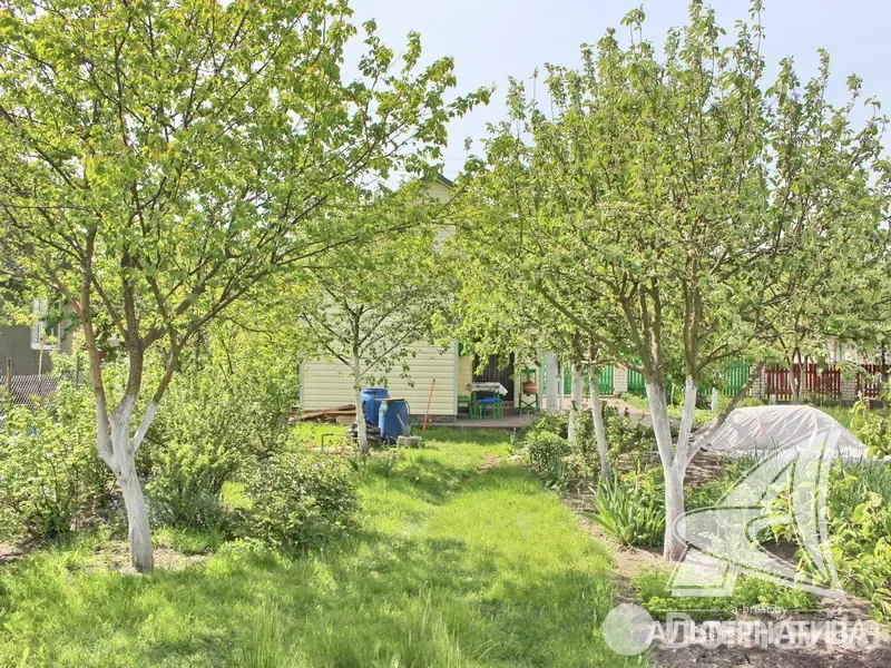 Купить 1-этажную дачу в Южное-ГАП №5 Брестская область, 27000USD, код 161940 - фото 17