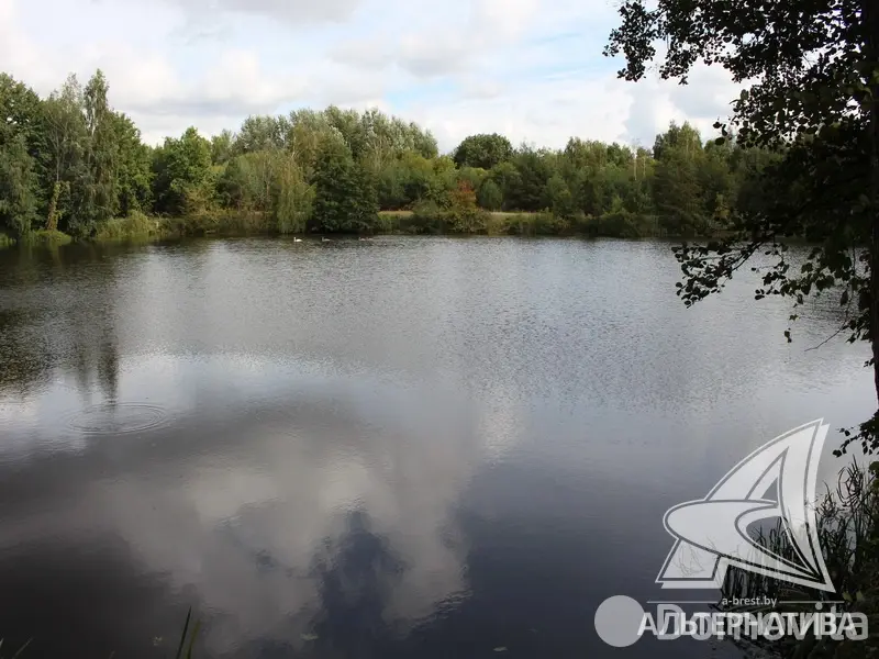 Купить земельный участок, 25 соток, Бульково, Брестская область, 359000BYN, код 572575 - фото 19
