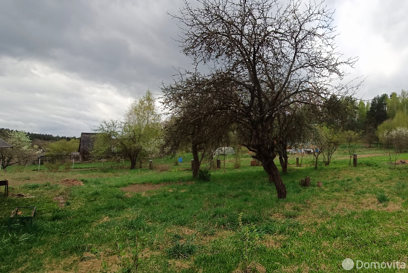 участок, Марковщина, ул. Центральная 