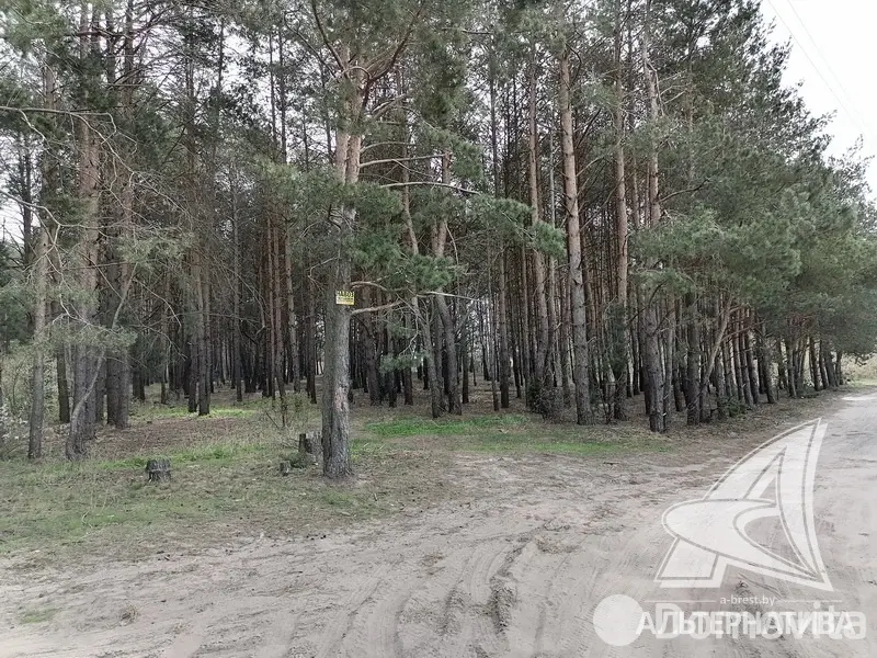 Продажа 2-этажной дачи в Леснянка Брестская область, 27000USD, код 165253 - фото 29