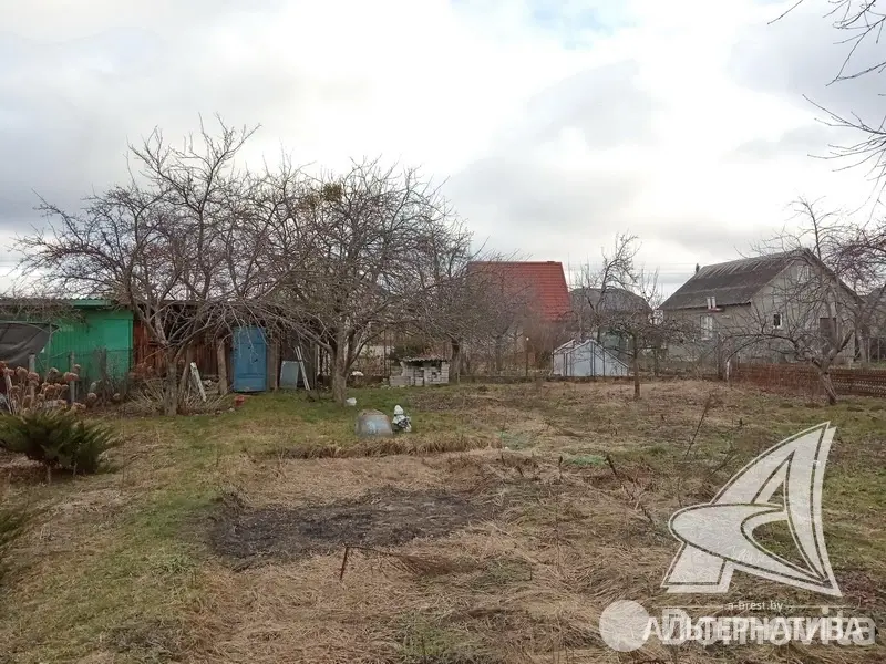 Цена продажи участка, Восток-2009, 