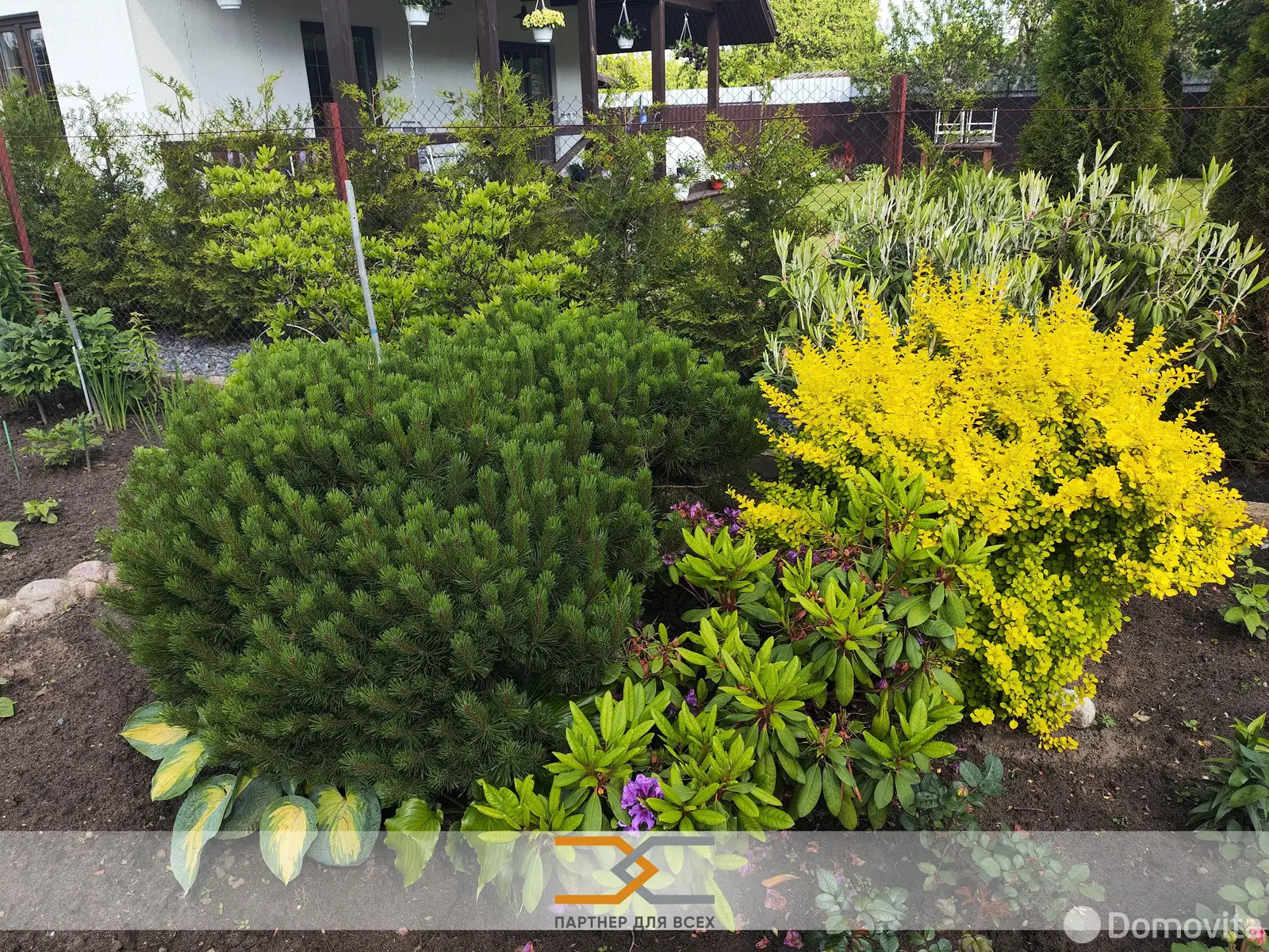 Продажа 1-этажной дачи в Аэрофлот Минская область, 53500USD, код 183340 - фото 22