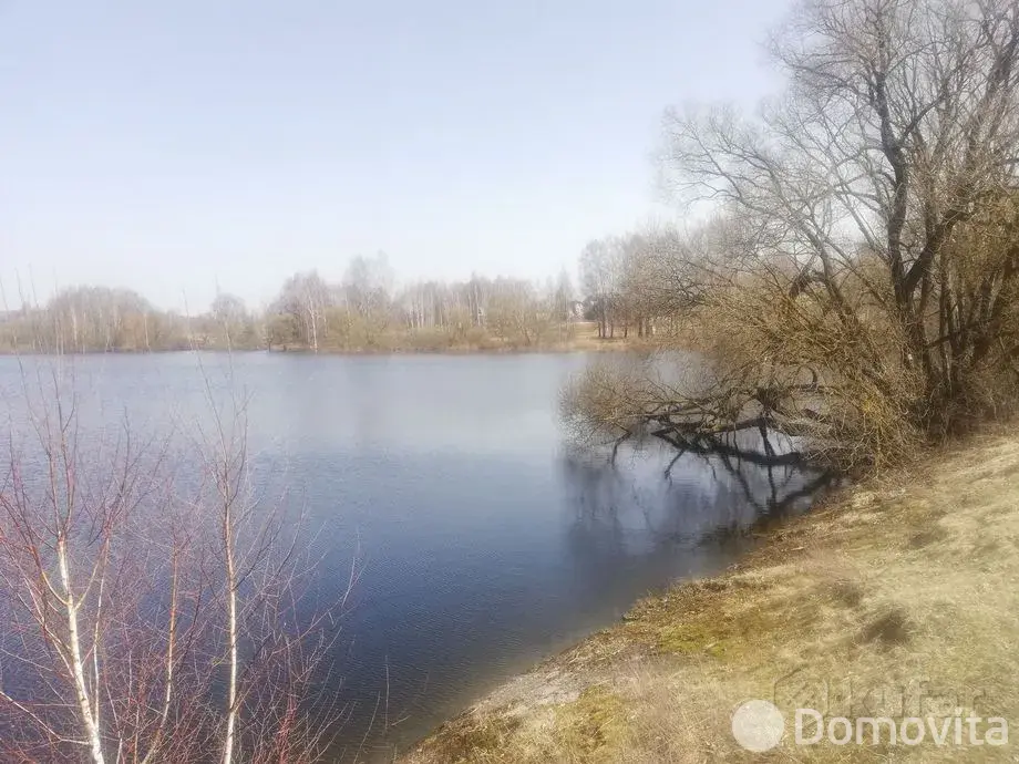 Аренда коттеджа Домик в деревне на сутки в Речках 1 , 80BYN, код 1476 - фото 2