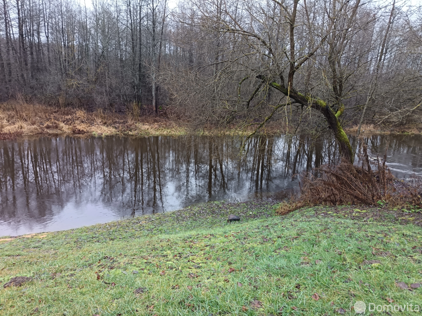 Купить 1-этажную дачу в Луке Могилевская область, 8000USD, код 185423 - фото 13