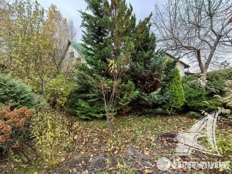 Продажа 1-этажной дачи в Машиностроитель Брестская область, 42000USD, код 184448 - фото 16