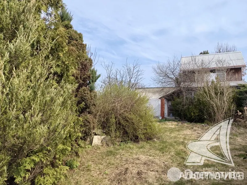Купить 2-этажную дачу в Радуга Брестская область, 20000USD, код 185266 - фото 16