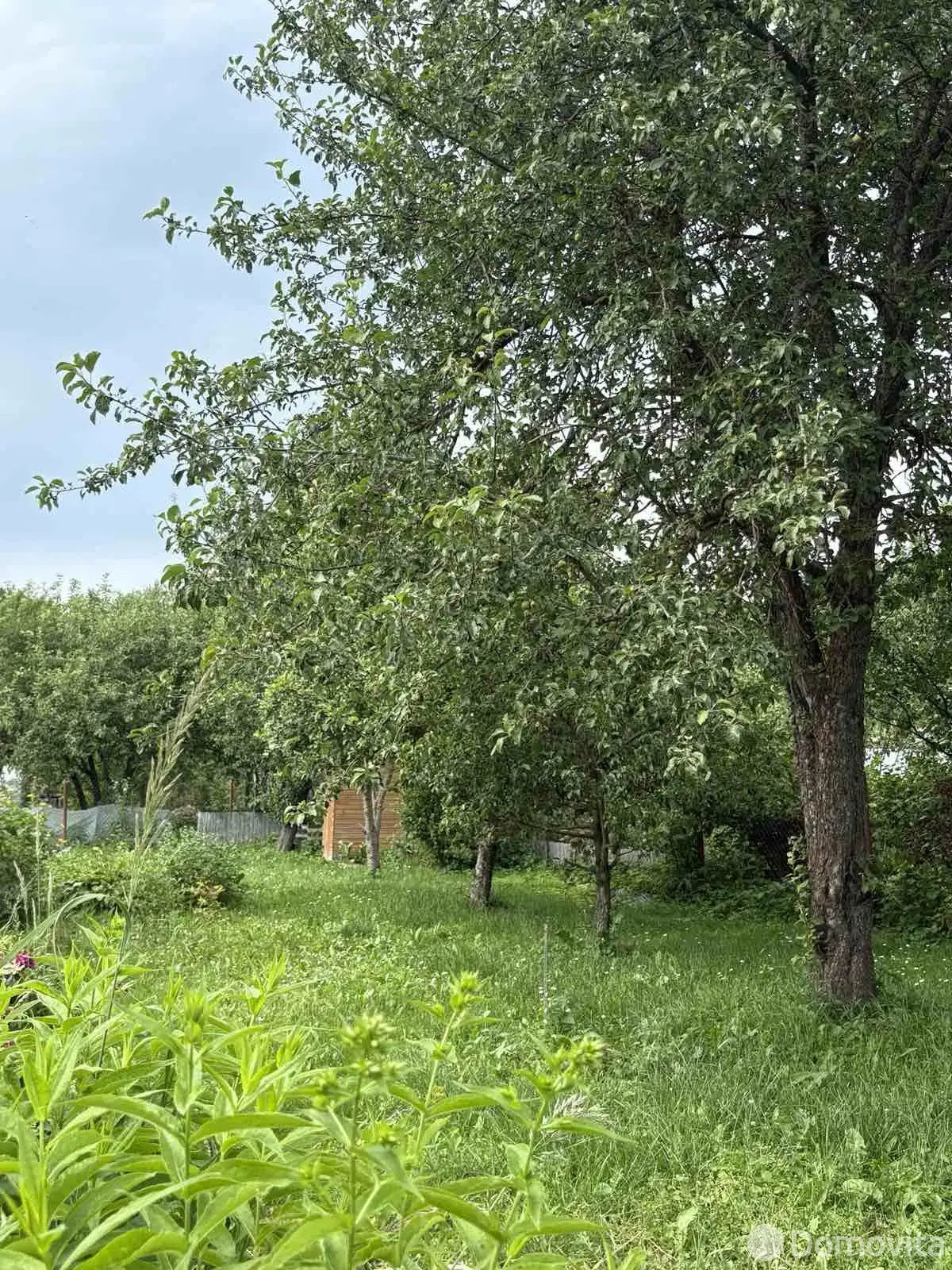 Купить 2-этажную дачу в Горки-1 Минская область, 20900USD, код 185571 - фото 26