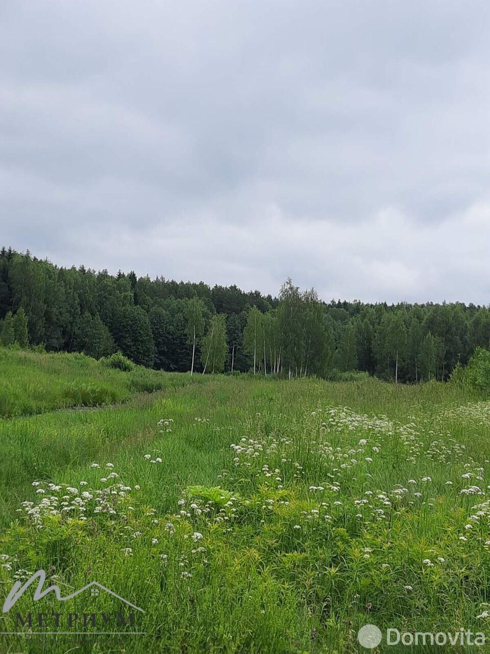 дом, Ратомка, ул. Луговая 