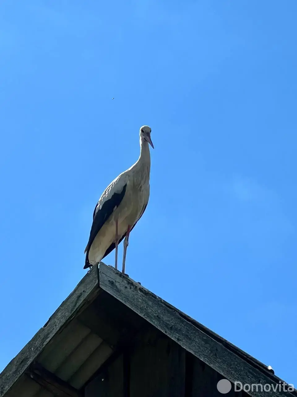 Купить 1-этажную дачу в Малявках Витебская область, 26400USD, код 182906 - фото 15