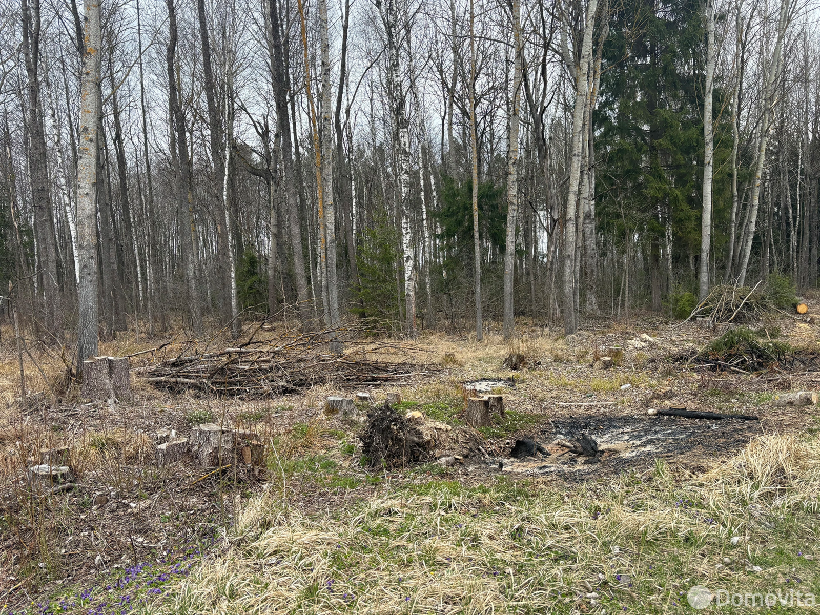 Продажа 1-этажной дачи в Асвета д.Угодина Минская область, 3500USD, код 177376 - фото 18