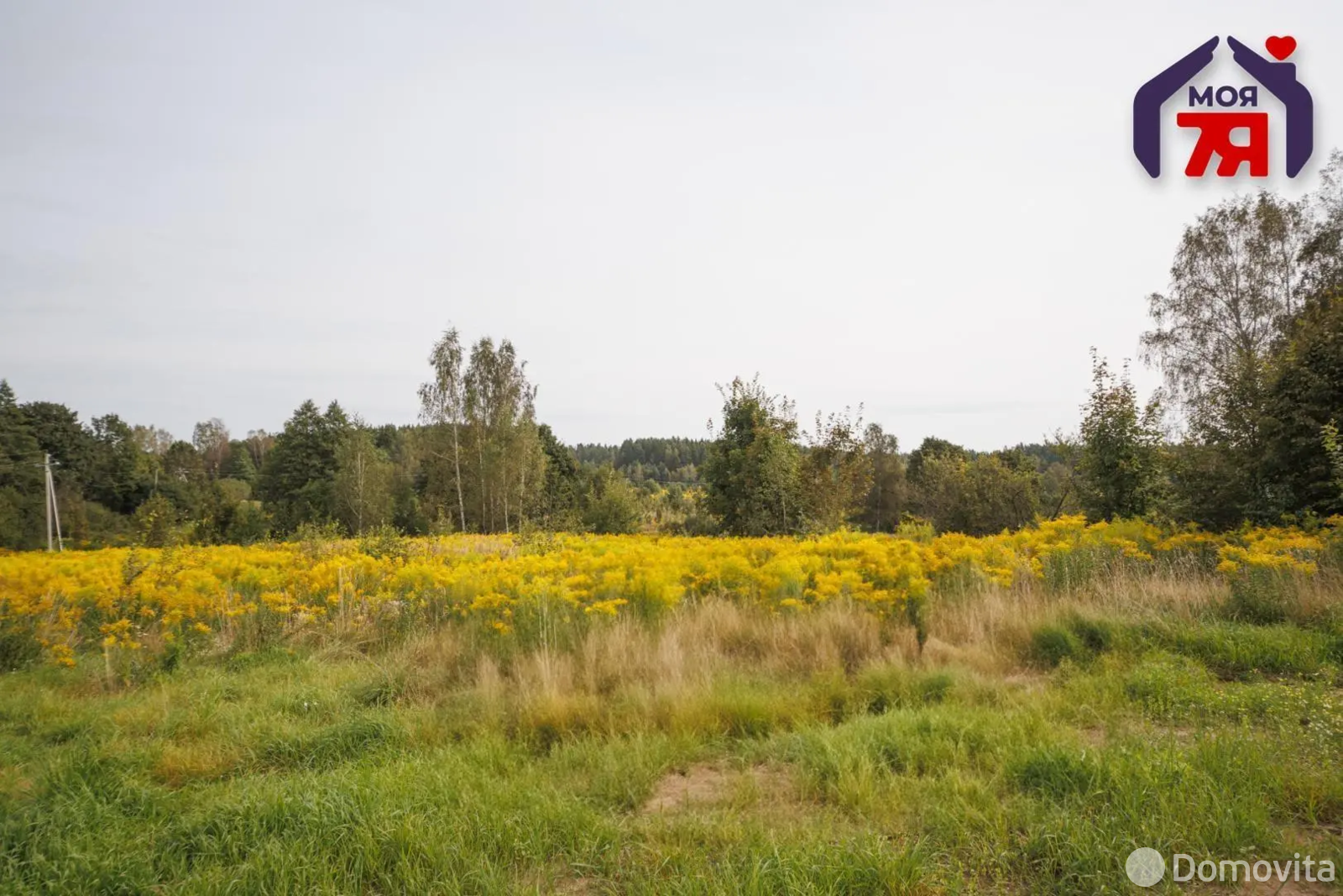 Купить земельный участок, 10 соток, Юхновка, Минская область, 85000USD, код 571813 - фото 15