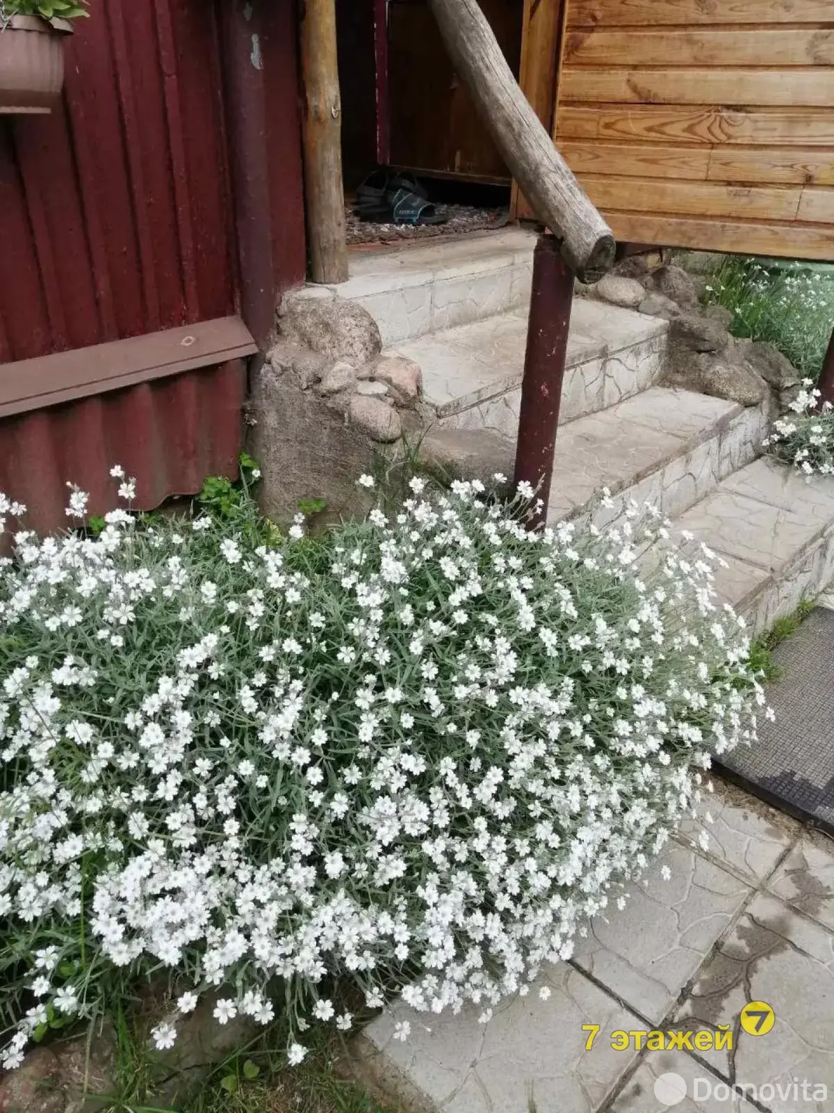 Купить 2-этажную дачу в Зеленой Поляне Гомельская область, 16000USD, код 181343 - фото 12