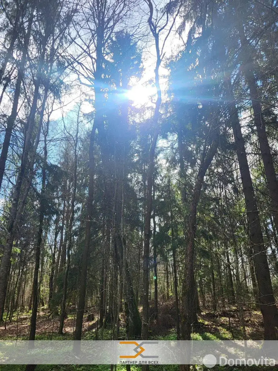 Продажа 2-этажной дачи в Пищевик Минская область, 17000USD, код 185477 - фото 11