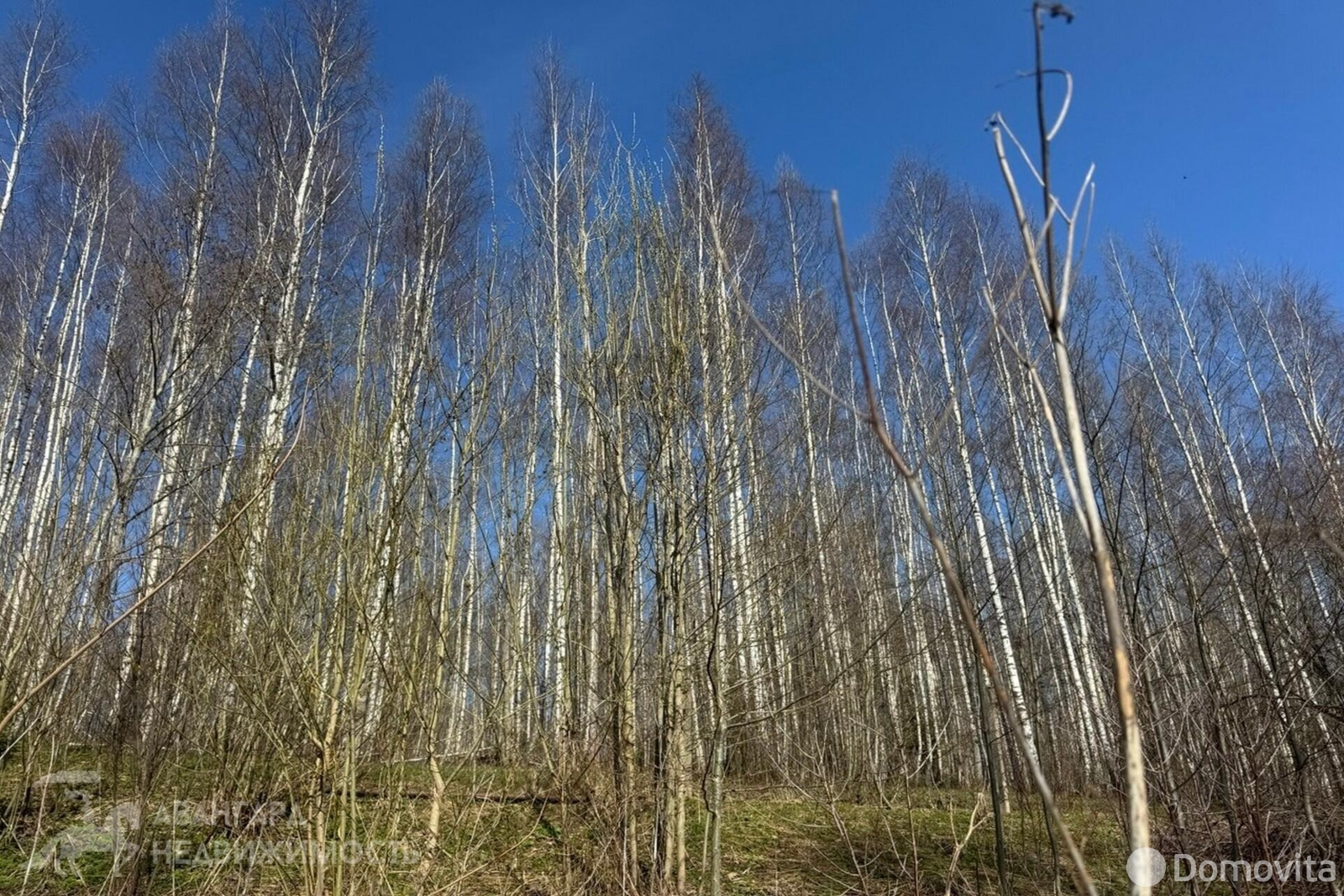 участок, РОДНИКИ-1, 