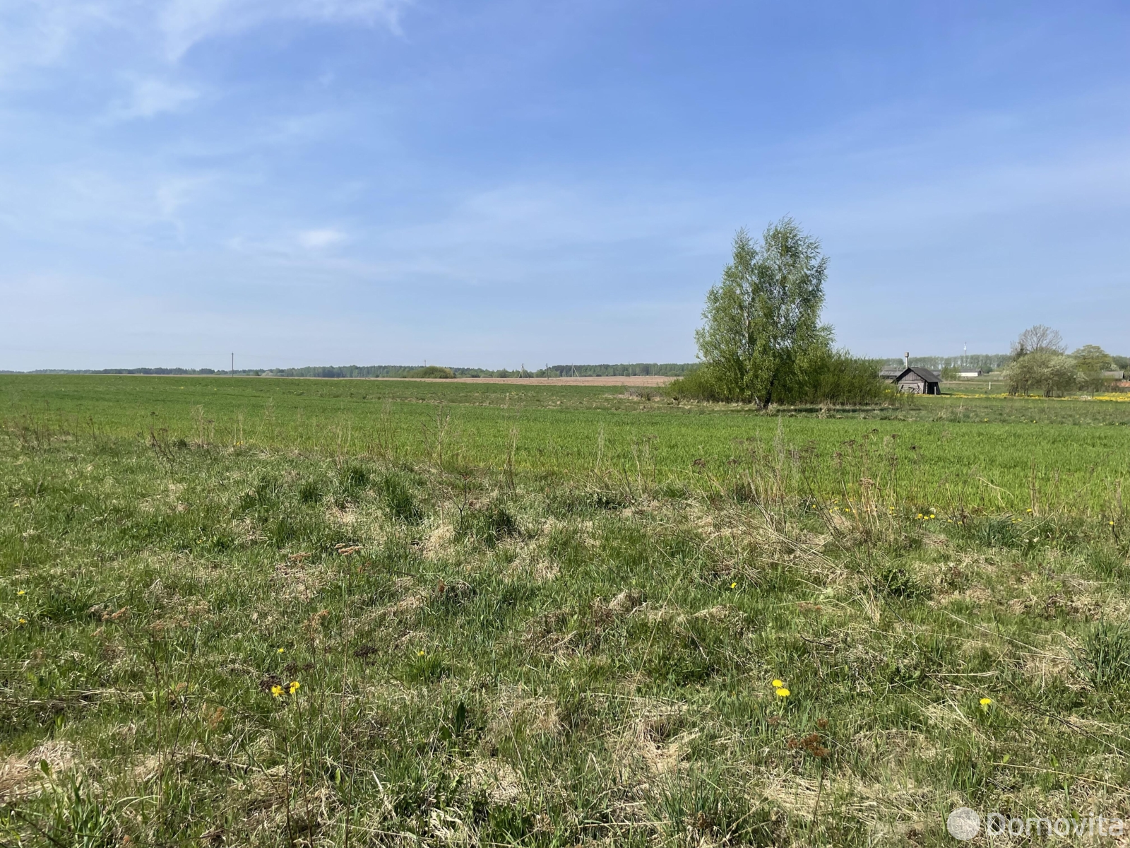 Купить земельный участок, 25 соток, Тесновая 2, Минская область, 7800USD, код 571932 - фото 18