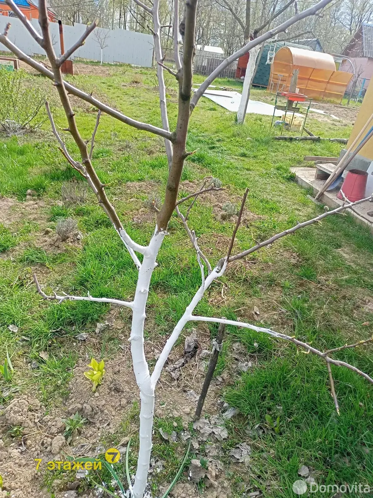 Продажа 1-этажной дачи в Вишневый сад Минская область, 10500USD, код 178393 - фото 61