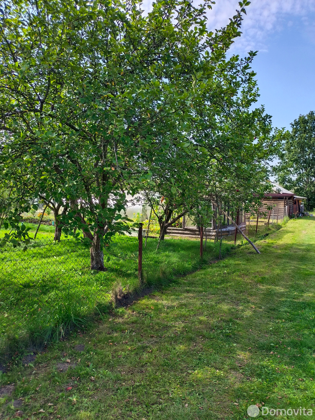 дача, Экран-Тарасики, 